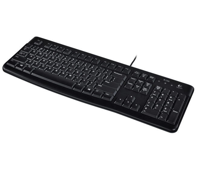 LOGITECH K120 OEM /BLACK-photo 1