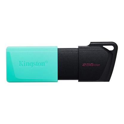 256GB USB3.2 DTXM KINGSTON - Image 2