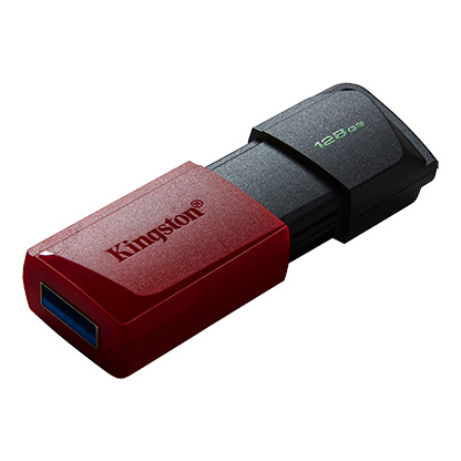 128GB USB3.2 DTXM KINGSTON-photo 1