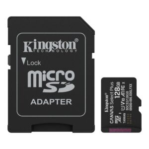 128GB SDMIC KING CANVAS SEL+A1
